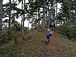 IMG-8cc27f5c964f643d51cac1e7345ef449-V