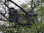 IMG_4384