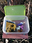 IMG_20201121_150108