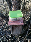 IMG_20201121_150059