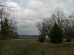 IMG_20201130_133054
