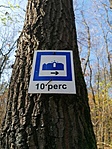 IMG_20201108_110614