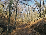 IMG_20201122_091937