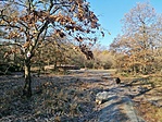 IMG_20201122_093301
