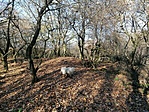 IMG_20201122_095103