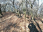 IMG_20201122_095402