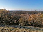 IMG_20201122_100824