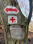 IMG_20201122_101258