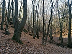 IMG_20201122_101344