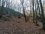 IMG_20201122_101347
