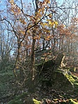 IMG_20201122_101518