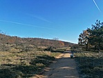 IMG_20201122_105531