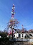 IMG_20201122_124805