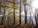 DSC07805