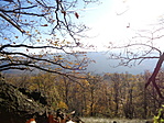 DSC07810