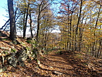 DSC07813