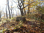 DSC07829