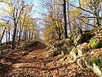 DSC07835