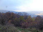 DSC07930