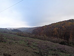 DSC07934