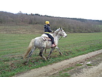 DSC08016