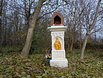 DSC08030