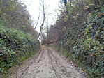 DSC08026