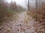 DSC08076