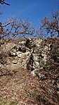 IMG_20201107_135351