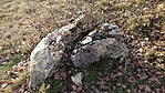 IMG_20201122_140300