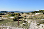 DSC_2222