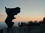 IMG_20201129_155431