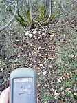 IMG_20201129_155138