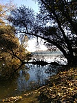 IMG_20201107_103809