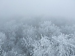 IMG_20201128_100256