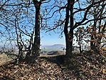 20201121_113117