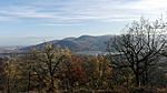 IMG_20201117_141358