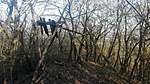 IMG_20201117_144158