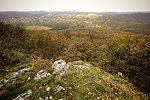 IMG_7137
