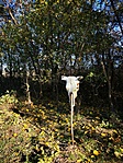 IMG_20201121_113530