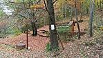 IMG_20201031_121845