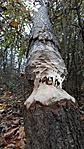 Sötétvölgyi horgásztó-3