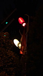 DSC07491