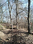 IMG_20201229_114952