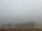 20201213_120709