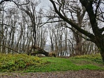 20201221_144650