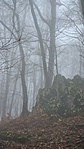 2020-12-14 10.45.19R