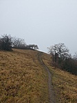 20201220_115751