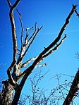 IMG_20201226_103547