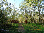 DSC06100